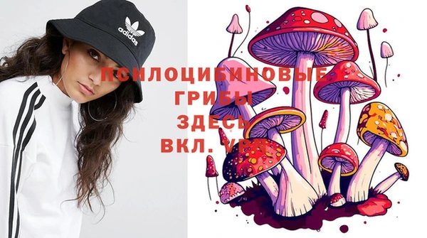 индика Абдулино