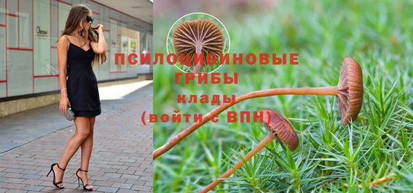 индика Абдулино