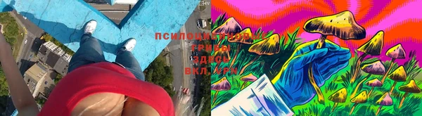СК Абаза