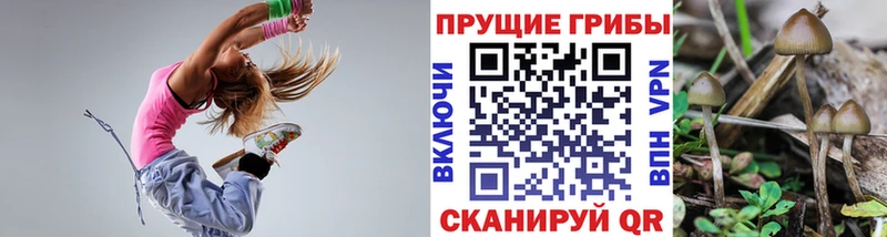 купить наркоту  Батайск  Псилоцибиновые грибы GOLDEN TEACHER 