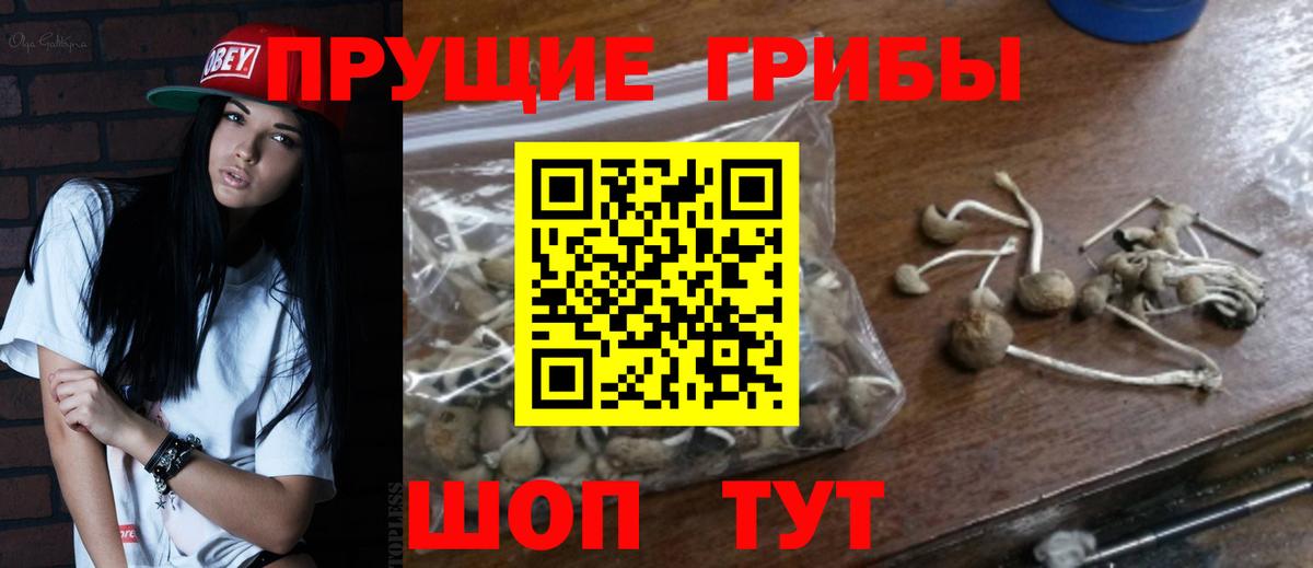 Батайск  Галлюциногенные грибы Cubensis  купить наркоту  Вход с VPN 